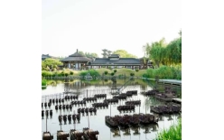 2026邵阳夏季团建新篇：贝塔团建以‘长安的荔枝’解锁国风团建新体验